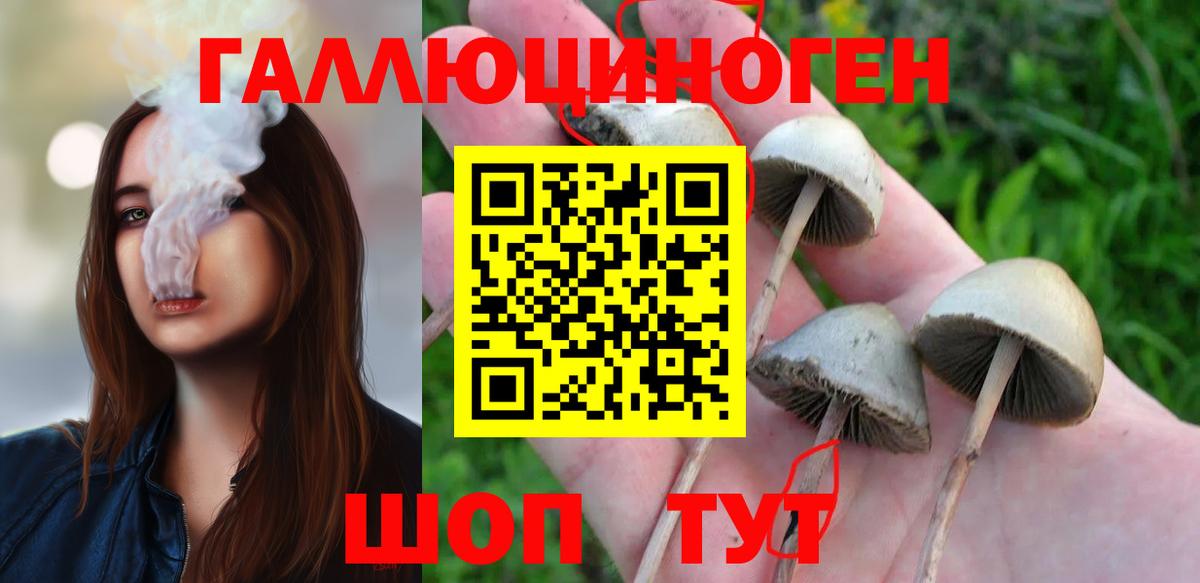 Галлюциногенные грибы MAGIC MUSHROOMS  Вход с VPN  Десногорск  Галлюциногенные грибы мухоморы 